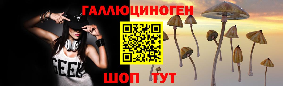 Псилоцибиновые грибы Psilocybine cubensis Ханты-Мансийск