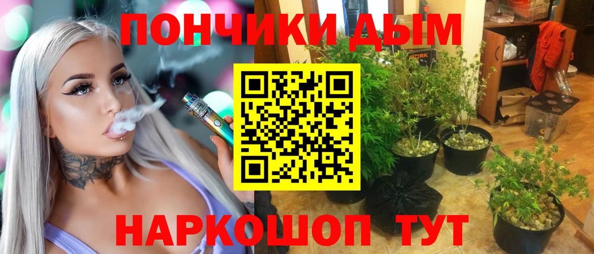 Шишки марихуана конопля Ханты-Мансийск